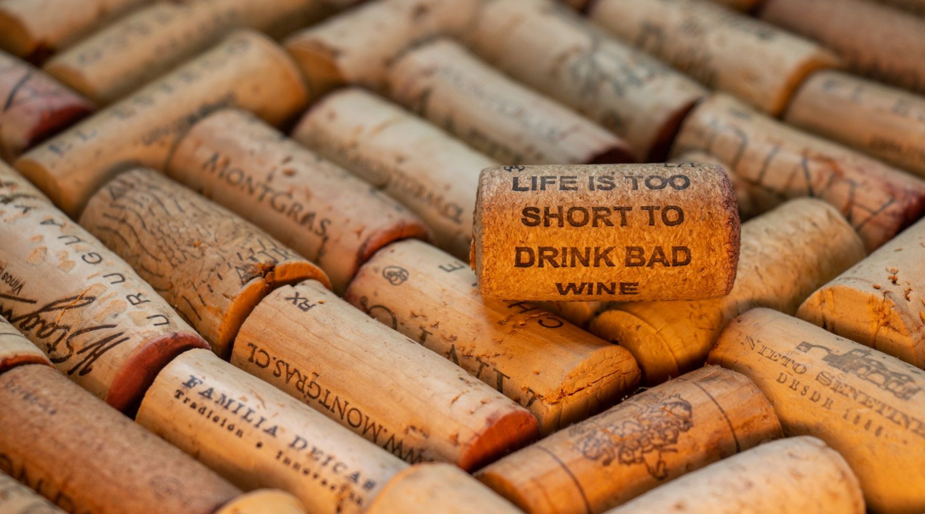 Best Practices for Storing and Serving Wines - AlbertWines2u