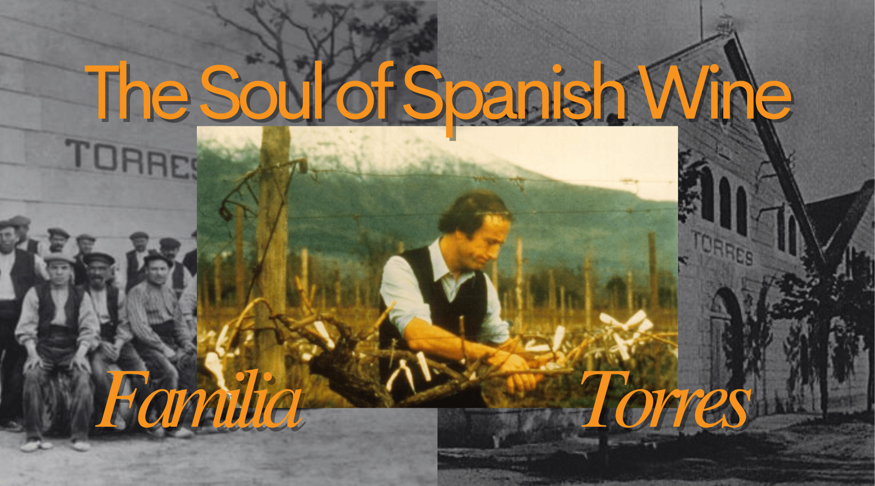 How Familia Torres Put Spanish Wine on the World Map 🌎 - AlbertWines2u