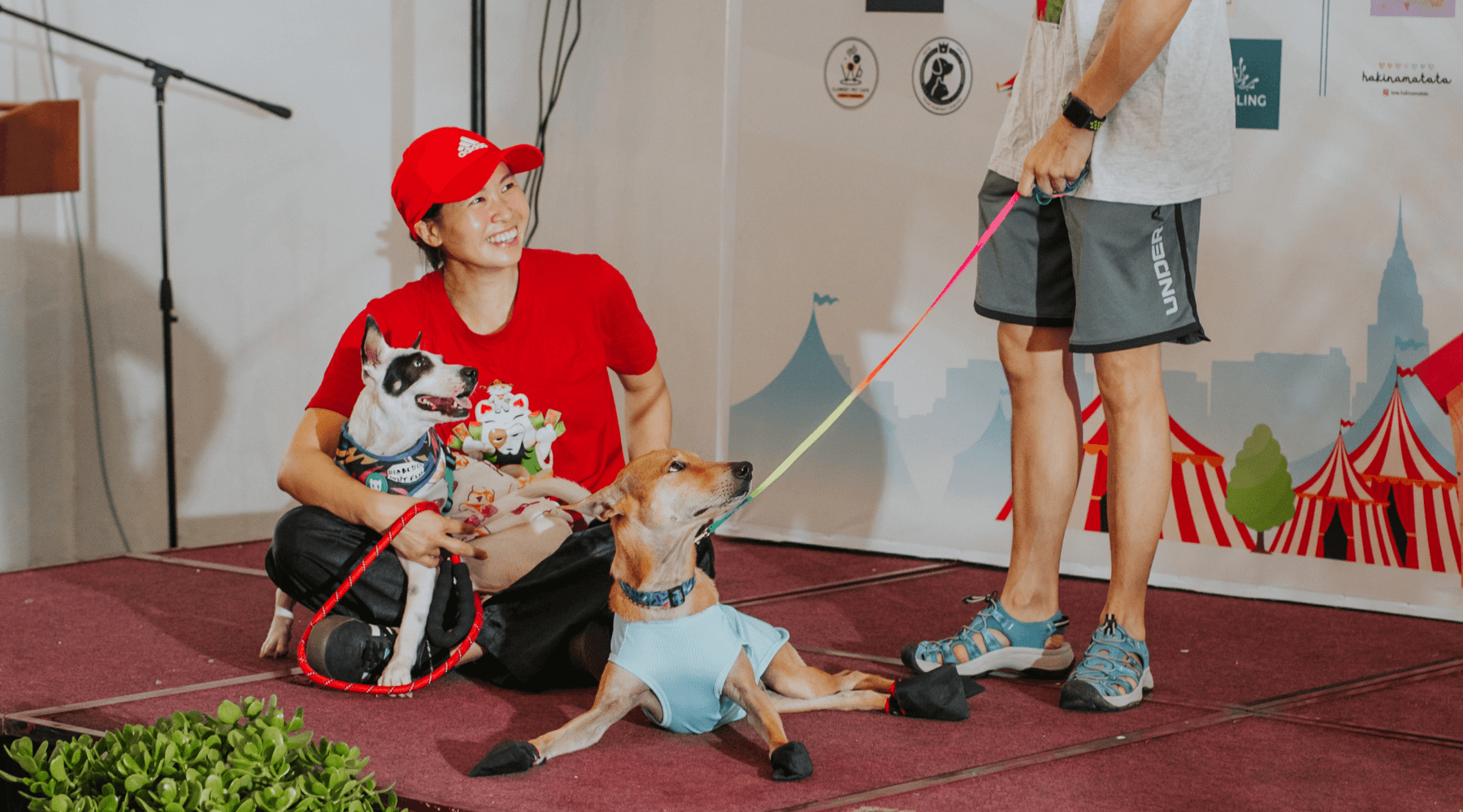 Albert Wines at Pawsitive Fiesta: Supporting Humane Stray Management - AlbertWines2u