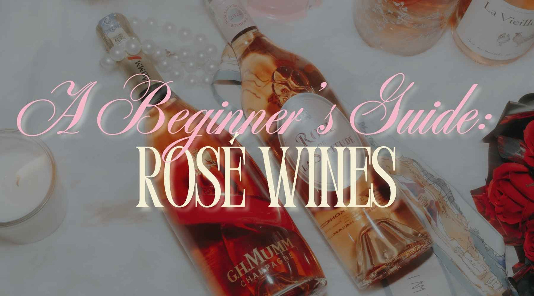Newbies Drink Wine: A Beginner's Guide to Rosé - Albert Wines