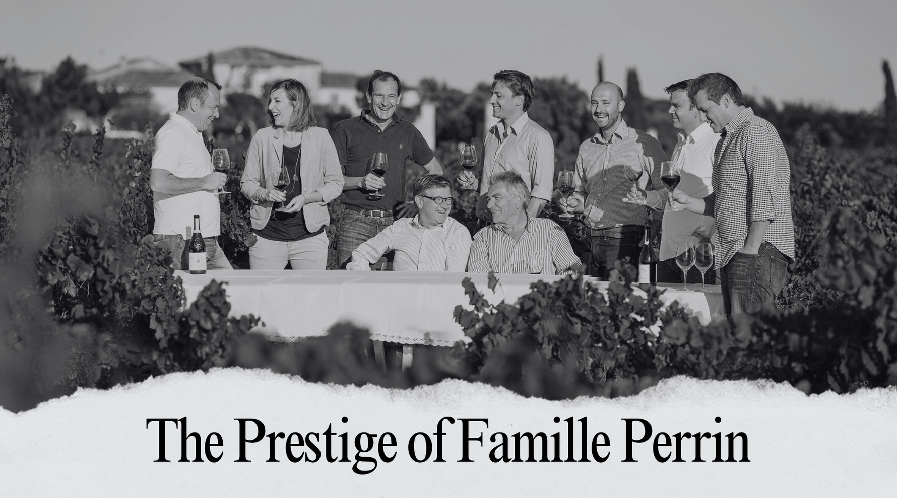 Famille Perrin: A Century of Passion in Every Bottle - AlbertWines2u