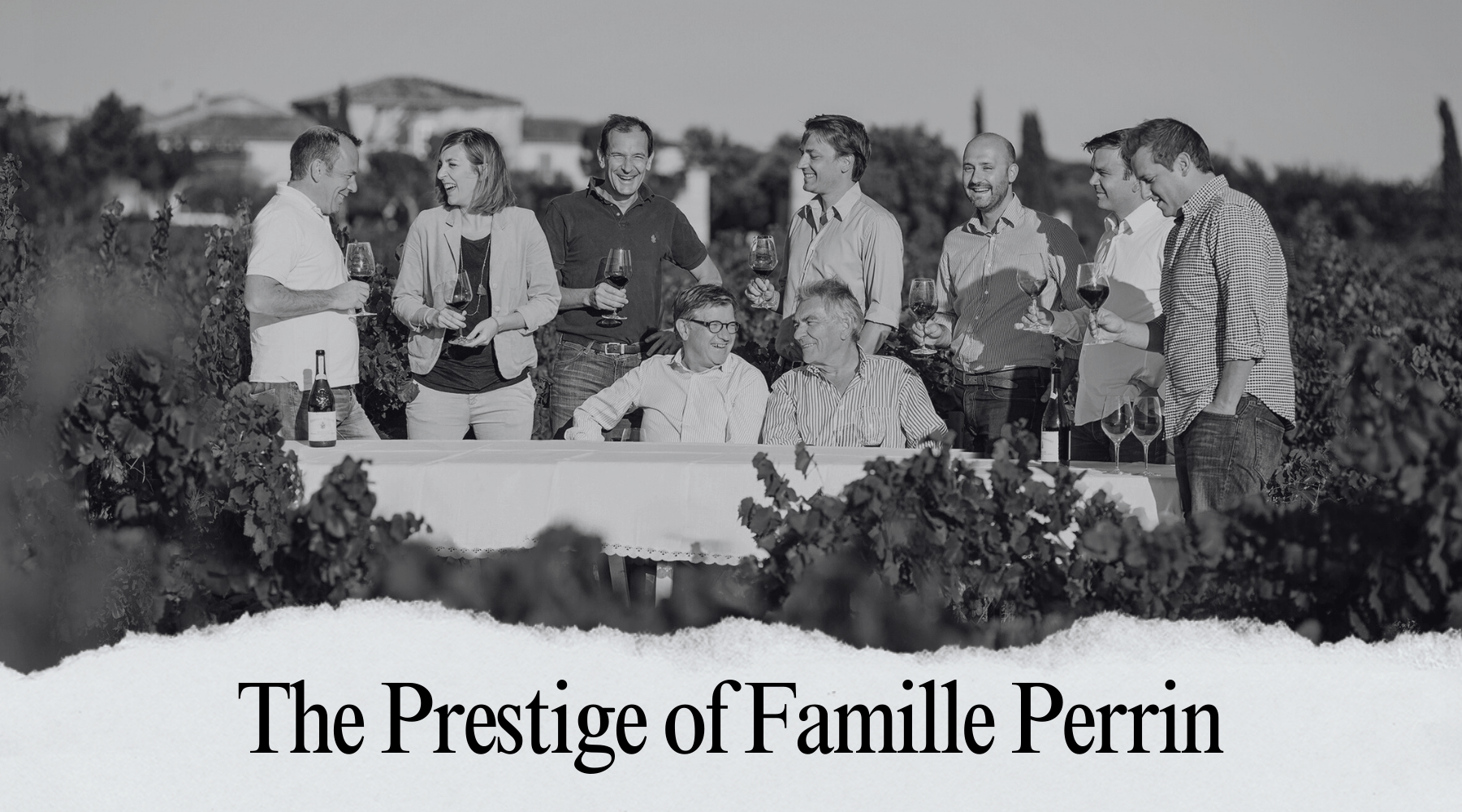 Famille Perrin: A Century of Passion in Every Bottle - AlbertWines2u