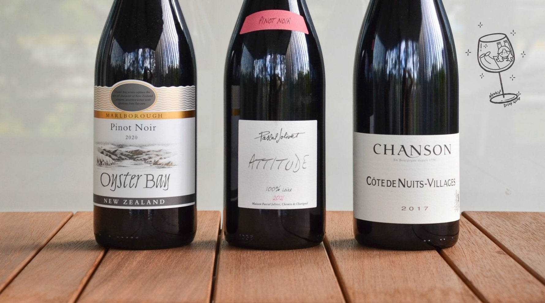 New Series! Newbies Drink Wine: Pinot Noir - Albert Wines