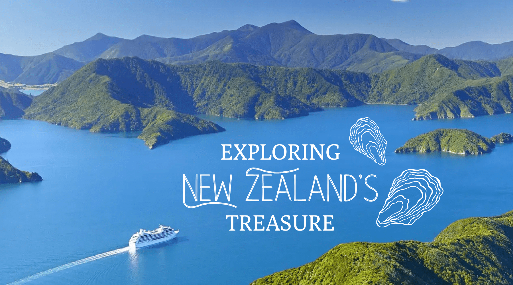 A Taste of New Zealand’s Land and Heart with Oyster Bay❤️🌊 - AlbertWines2u