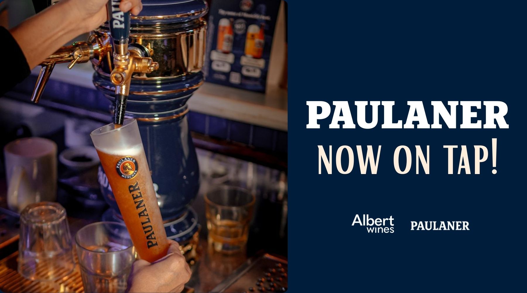 Paulaner is Back on Tap at These Locations 🍺 - Albert Wines