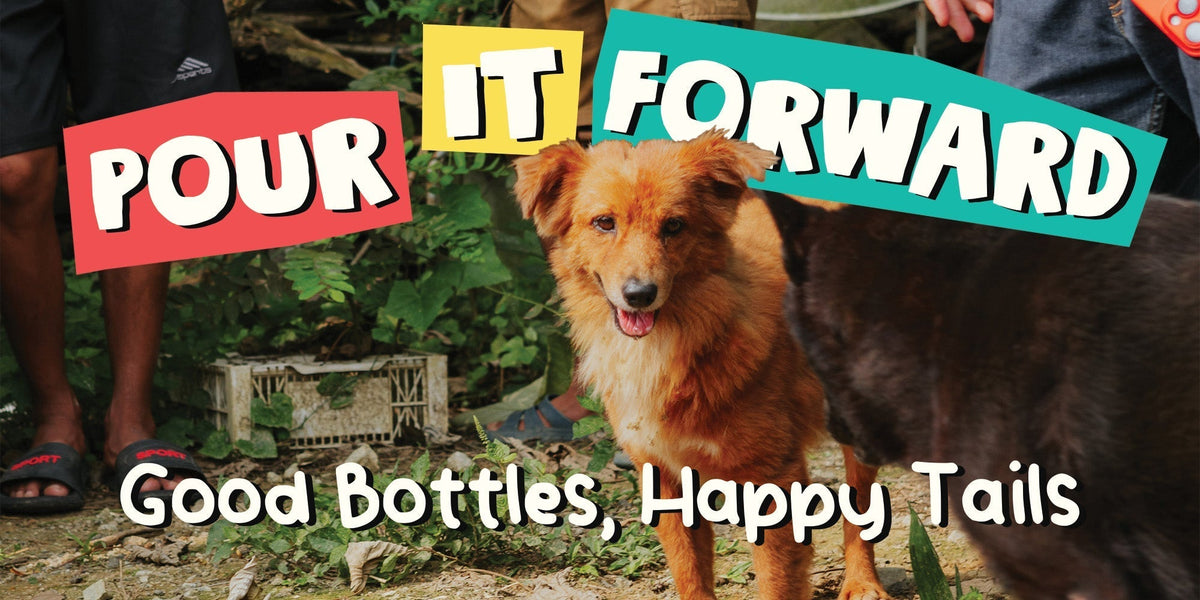 🐾 Pour It Forward: Good Bottles, Happy Tails 🐕