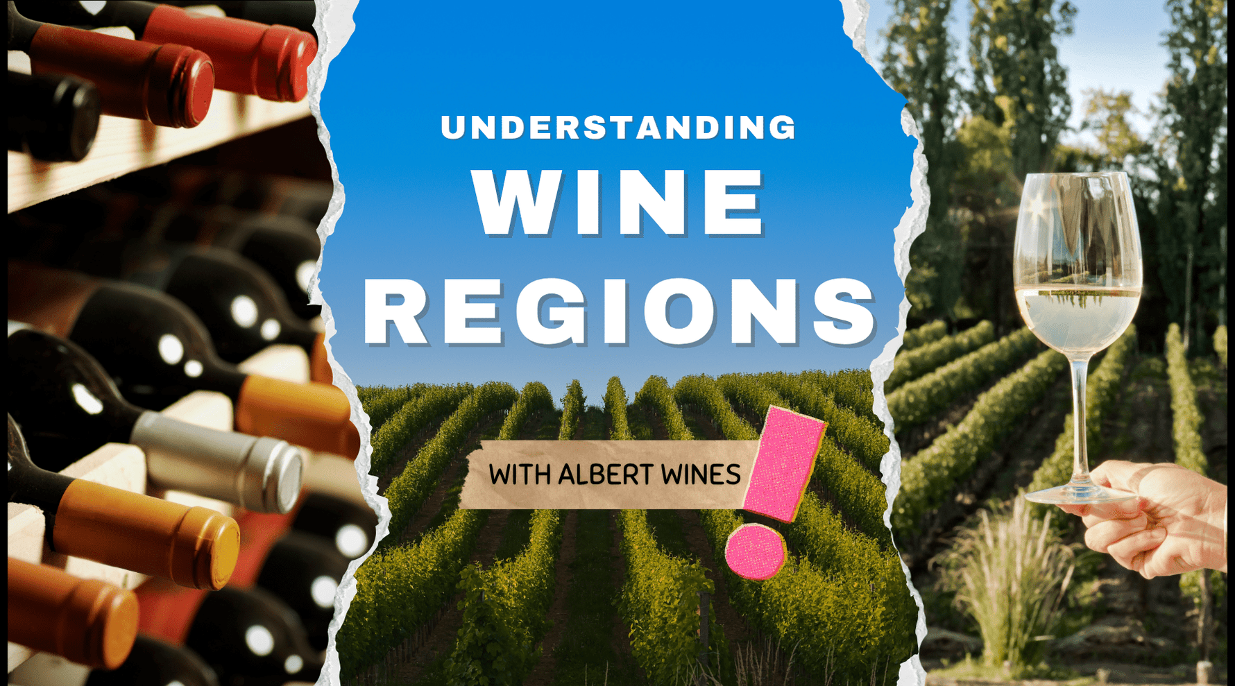 🌍 Understanding Wine Regions: From Mendoza to Bordeaux - Albert Wines