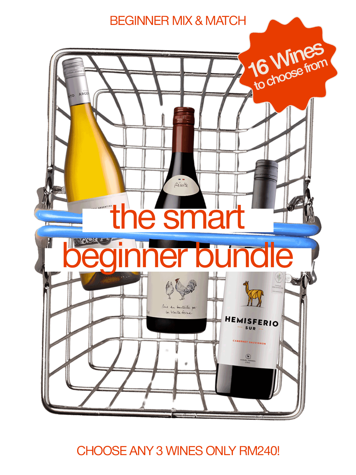 The Smart Beginner Bundle