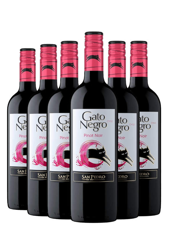 Gato Negro Pinot Noir - 6 Bottle Bundle - AlbertWines2u