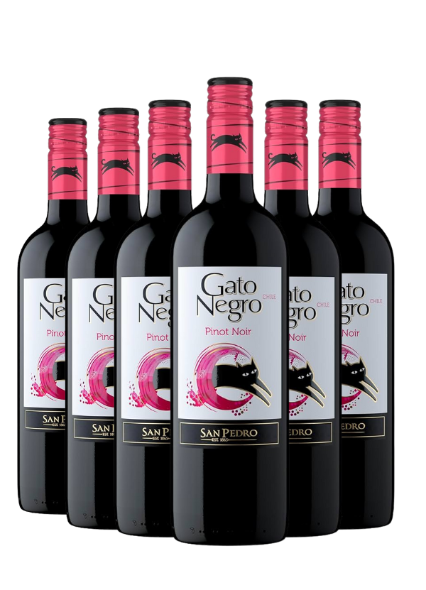 Gato Negro Pinot Noir - 6 Bottle Bundle