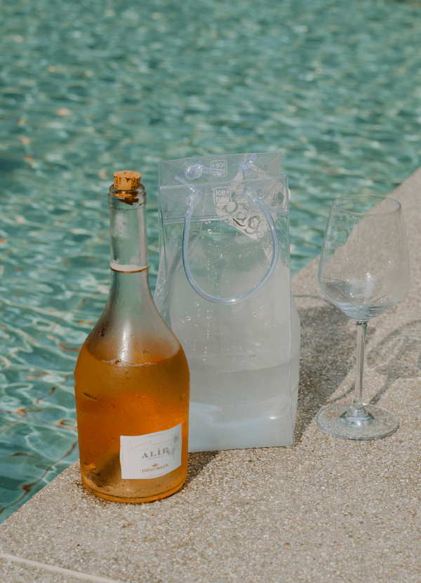 Pulltex Transparent 1 bottle Ice Bag