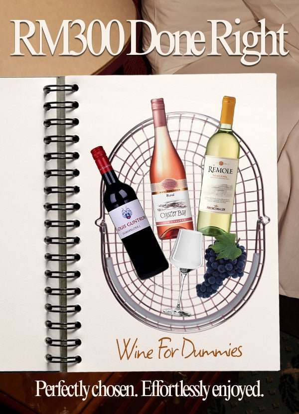 Wine For Dummies Bundle - AlbertWines2u